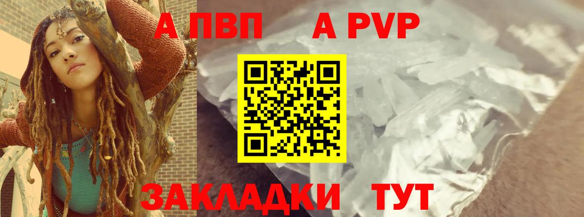 Альфа ПВП СК КРИС Мценск