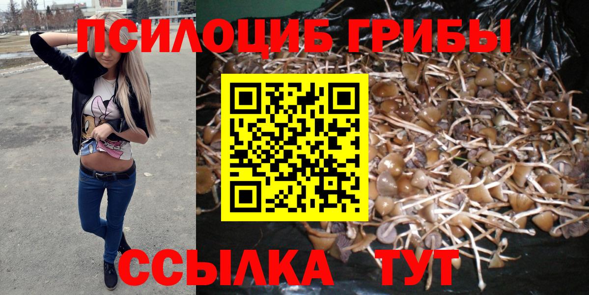 Мценск  Галлюциногенные грибы Psilocybe  Псилоцибиновые грибы мицелий  Вход с VPN 