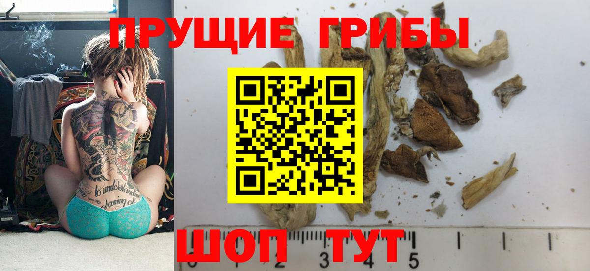 Галлюциногенные грибы Magic Shrooms Мценск